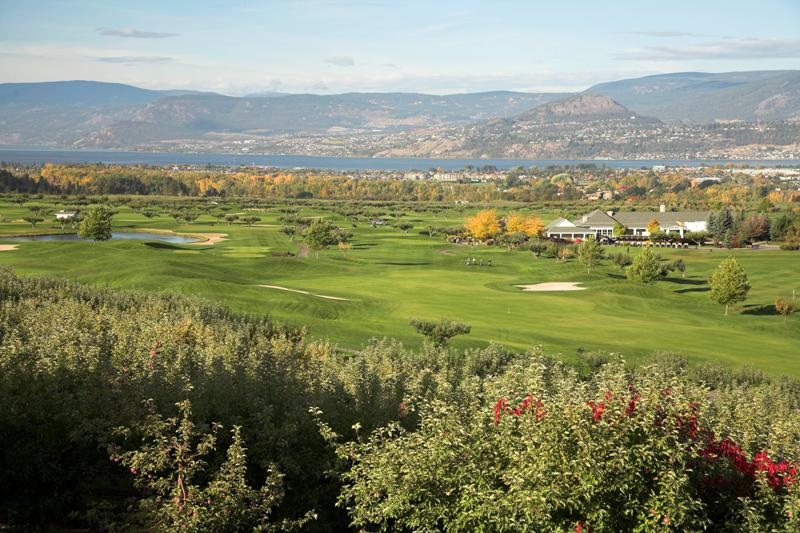 The Harvest - Kelowna, BC