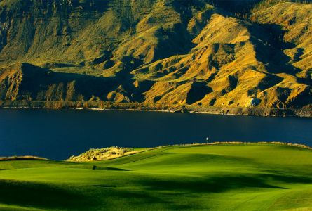 Tobiano